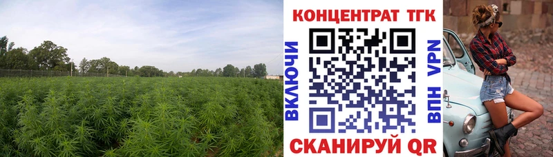 магазин продажи   Лабытнанги  блэк спрут вход  Дистиллят ТГК вейп с тгк 